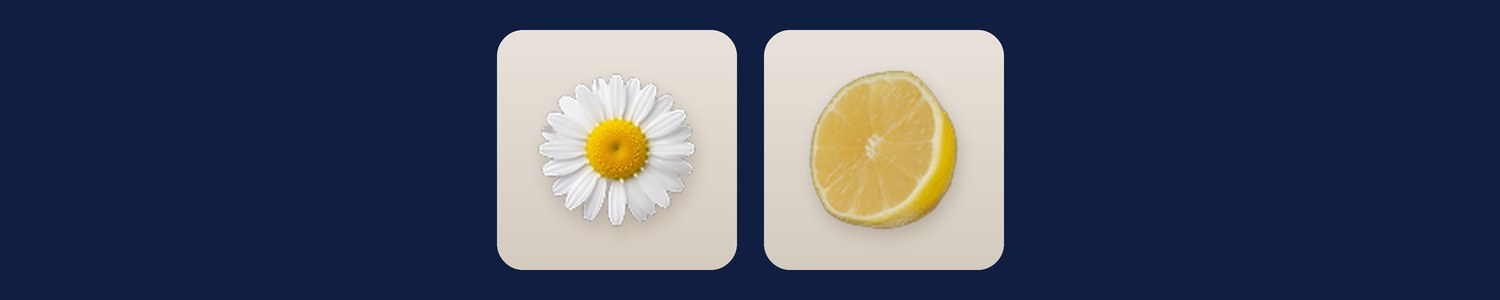 Chamomile flowers and a lemon