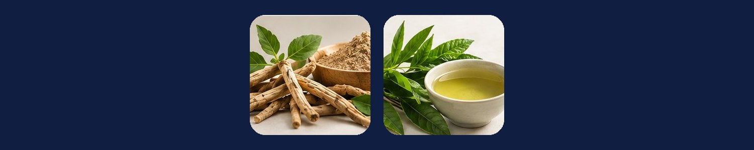 Ashwagandha root and L-theanine