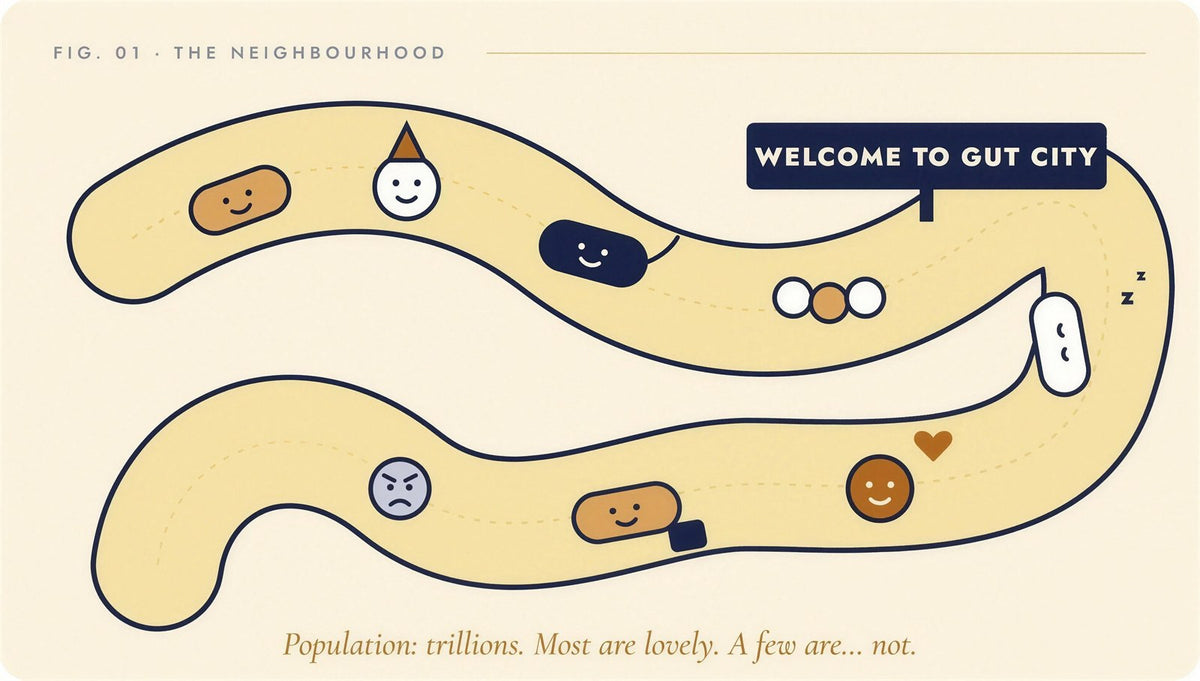 Illustrated winding gut with smiling and frowning cartoon microbes and a sign reading Welcome to Gut City