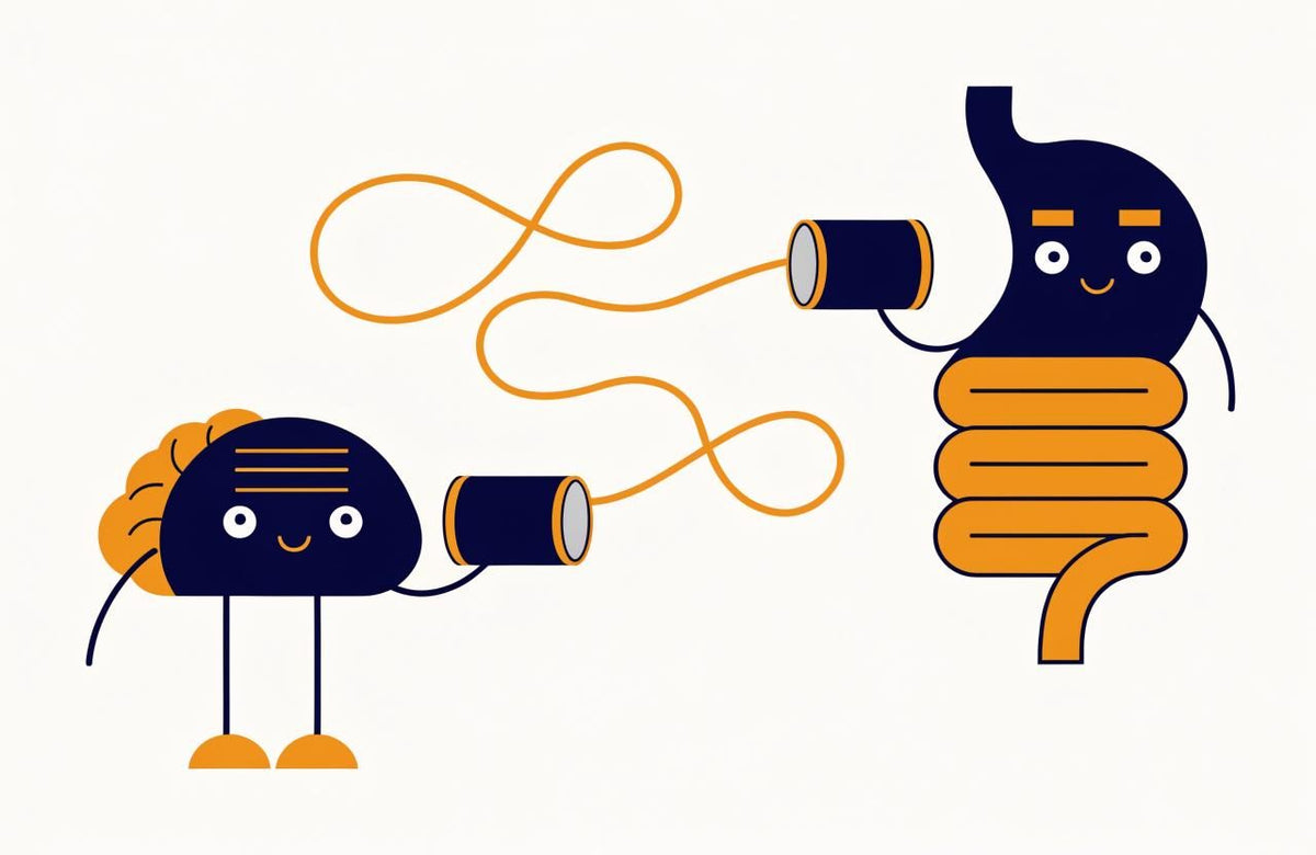Cartoon brain and cartoon stomach with coiled intestines talking through a tin-can telephone joined by a looping orange string